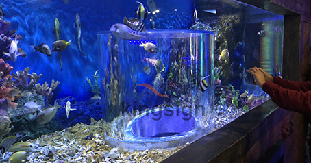 Projek akuarium dunia bawah laut Wuxi.