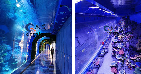 Projek terowong akuarium laut.